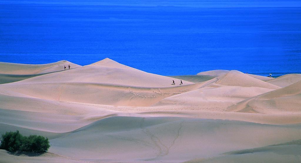 Oasis Playa Maspalomas Екстер'єр фото